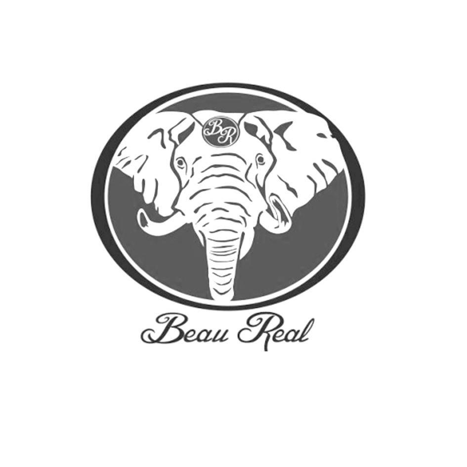 商标名称BEAU REAL BR商标注册号 13749325、商标申请人厦门宝睿进出口有限公司的商标详情 - 标库网商标查询