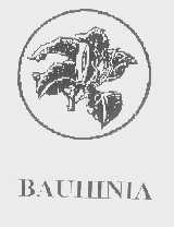 商标名称BAUHINIA商标注册号 1297868、商标申请人浙江顶上智能家居股份有限公司的商标详情 - 标库网商标查询