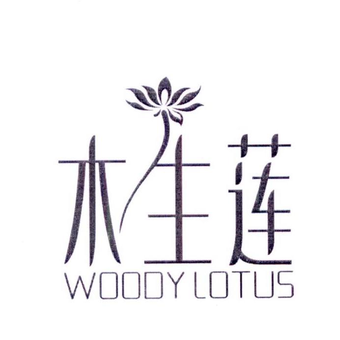 木生莲 WOODYLOTUS
