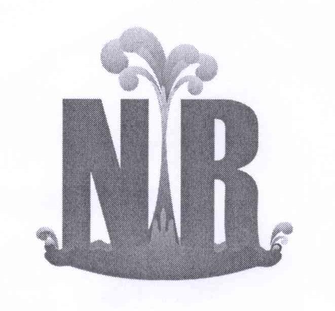 商标名称NR商标注册号 13254265、商标申请人梁宋鲁的商标详情 - 标库网商标查询