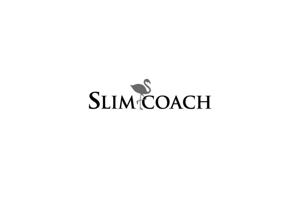 商标名称SLIM COACH商标注册号 11376112、商标申请人东莞市毅恩贸易有限公司的商标详情 - 标库网商标查询