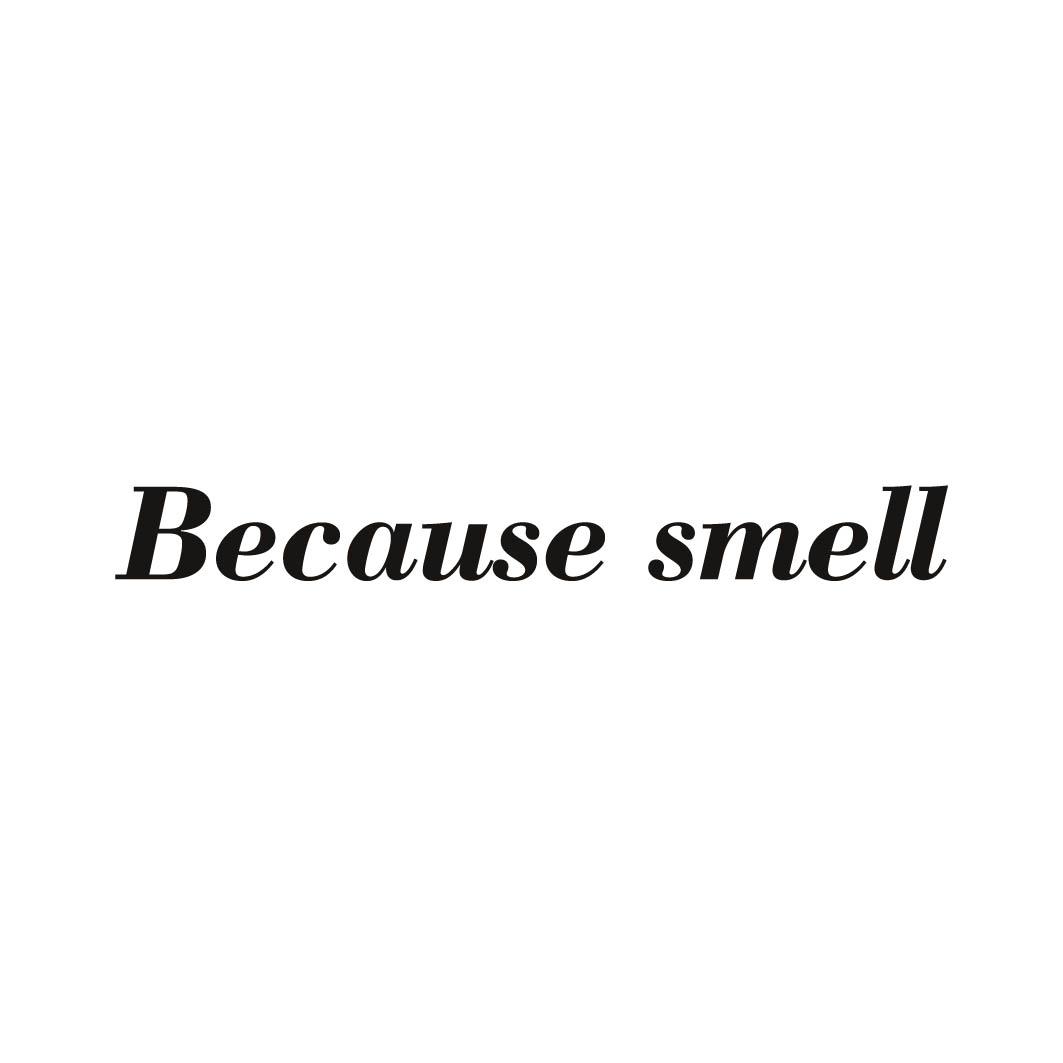 BECAUSE SMELL