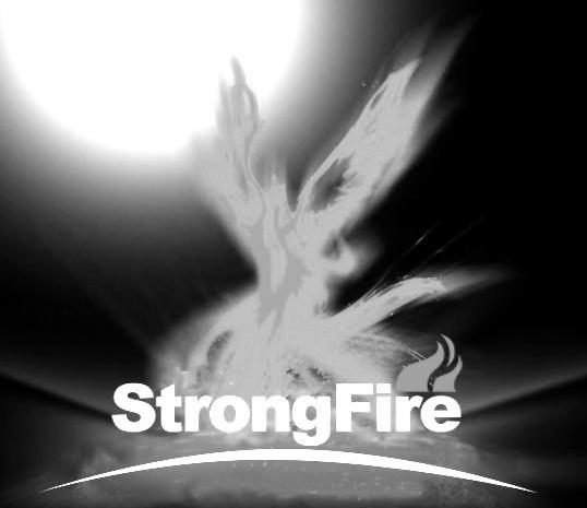 商标名称STRONGFIRE商标注册号 10877184、商标申请人义乌市强火照明科技有限公司的商标详情 - 标库网商标查询