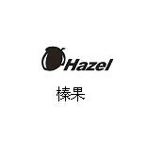 商标名称榛果 HAZEL商标注册号 8003060、商标申请人深圳市泰和美投资发展有限公司的商标详情 - 标库网商标查询