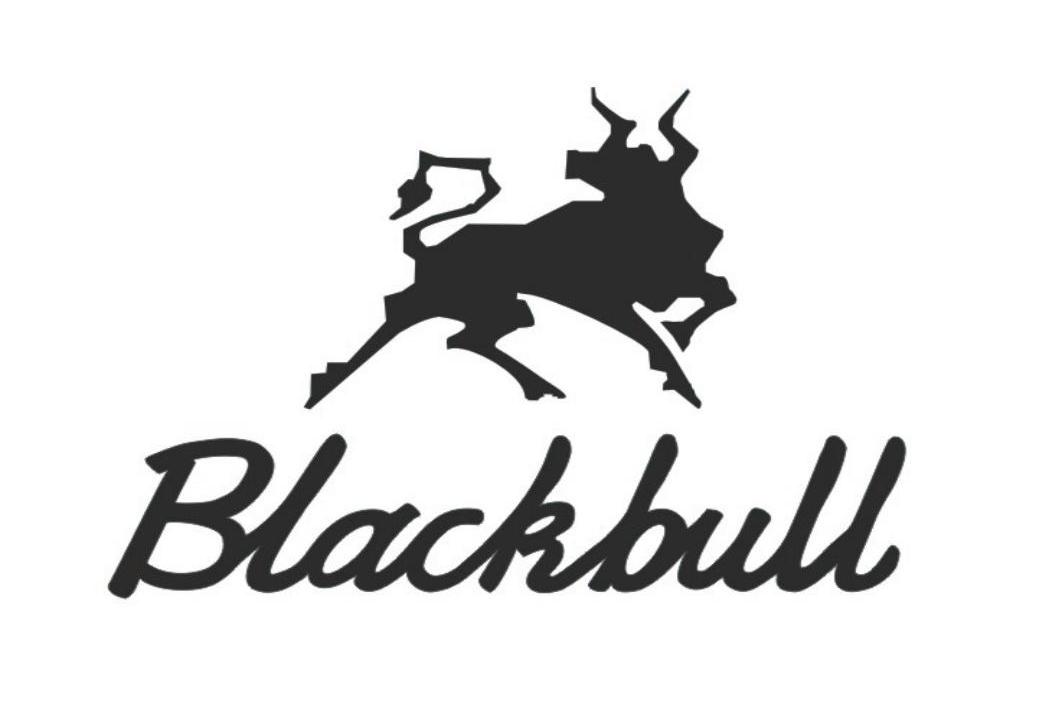 商标名称BLACKBULL商标注册号 10646586、商标申请人西安黑牛机械有限公司的商标详情 - 标库网商标查询