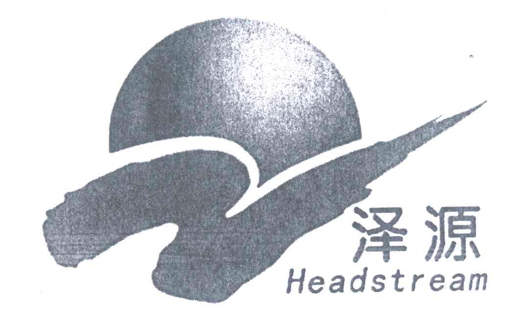 商标名称泽源;HEADSTREAM商标注册号 5397240、商标申请人王兴国的商标详情 - 标库网商标查询