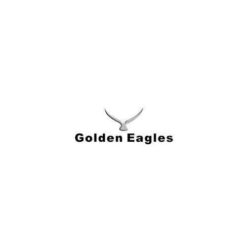 商标名称GOLDEN EAGLES商标注册号 10698594、商标申请人深圳市鑫鹰美容设备有限公司的商标详情 - 标库网商标查询