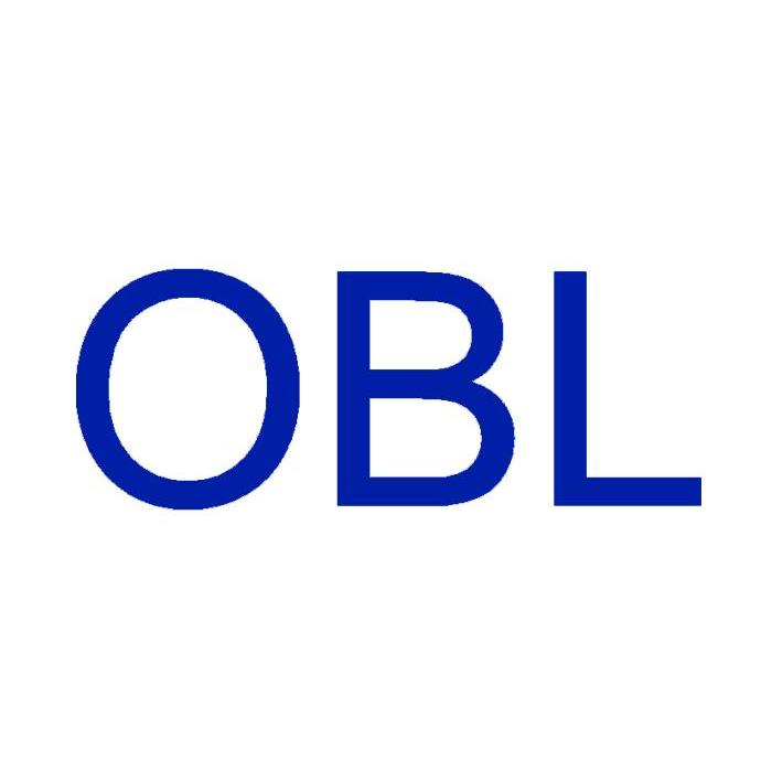 商标名称OBL商标注册号 10146433、商标申请人北京欧博尔科技有限公司的商标详情 - 标库网商标查询