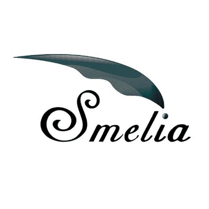 商标名称SMELIA商标注册号 11073534、商标申请人成都斯米利亚硅藻新材料有限公司的商标详情 - 标库网商标查询