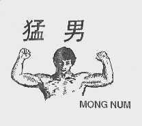 商标名称猛男   MONG NUM商标注册号 1026274、商标申请人永安药业公司的商标详情 - 标库网商标查询
