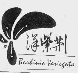 商标名称洋紫荆   BAUHINIA VARIEGATE商标注册号 1422111、商标申请人洋紫荆油墨（中山）有限公司的商标详情 - 标库网商标查询