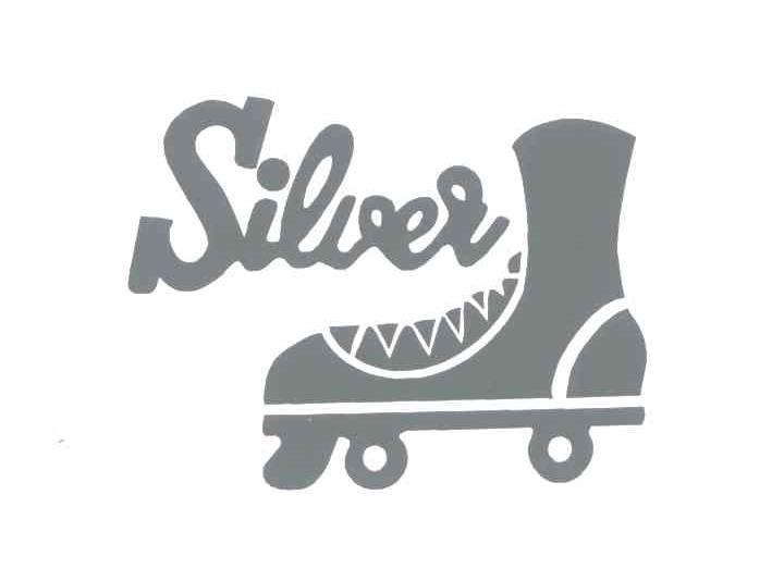 商标名称SILVER商标注册号 4915350、商标申请人蔡国花的商标详情 - 标库网商标查询