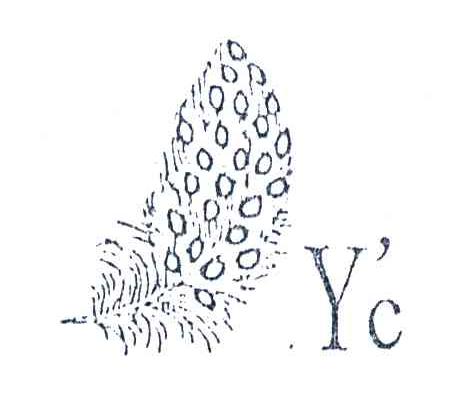 商标名称YC商标注册号 4104078、商标申请人上海挚擎信息科技有限公司的商标详情 - 标库网商标查询