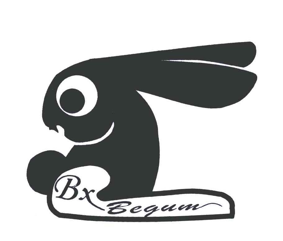 商标名称BX BEGUM商标注册号 4632654、商标申请人江苏天发家用纺织品有限公司的商标详情 - 标库网商标查询