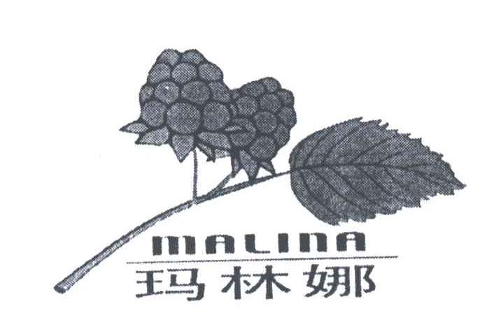 商标名称玛林娜;MALINA商标注册号 3175484、商标申请人金美玉的商标详情 - 标库网商标查询