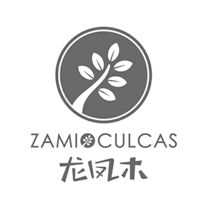 商标名称龙凤木 ZAMI CULCAS商标注册号 14204918、商标申请人苏州市润凯绿色集成科技有限公司的商标详情 - 标库网商标查询