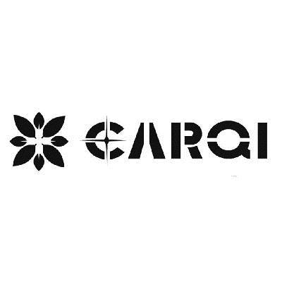 商标名称CARQI商标注册号 14696801、商标申请人深圳市蓝线盈电子厂的商标详情 - 标库网商标查询