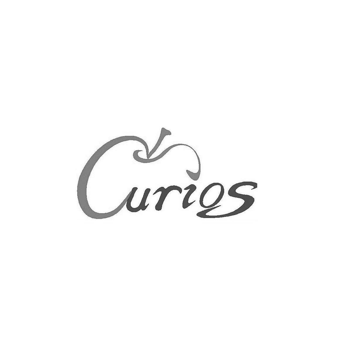 商标名称CURIOS商标注册号 10435001、商标申请人深圳市协创实业有限公司的商标详情 - 标库网商标查询