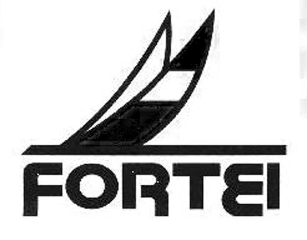 商标名称FORTEI商标注册号 10669506、商标申请人广州财富皮件服饰有限公司的商标详情 - 标库网商标查询