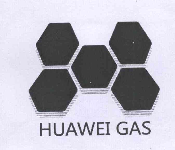 商标名称HUAWEI GAS商标注册号 13356141、商标申请人保定华威气体科技有限公司的商标详情 - 标库网商标查询