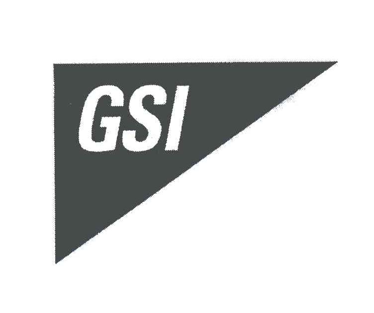 商标名称GSI商标注册号 5416695、商标申请人GSI集团公司的商标详情 - 标库网商标查询