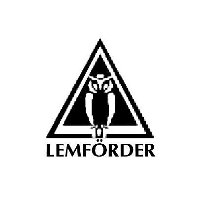 商标名称LEMFORDER商标注册号 8870984、商标申请人杭州伦福德底盘技术有限公司的商标详情 - 标库网商标查询