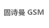 固诗曼 GSM