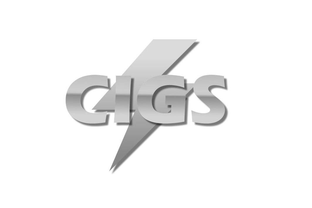 商标名称CIGS商标注册号 10388300、商标申请人广东金光伏能源投资有限公司的商标详情 - 标库网商标查询