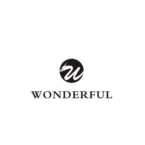 商标名称WONDERFUL W商标注册号 10370239、商标申请人深圳市泰强化工有限公司的商标详情 - 标库网商标查询