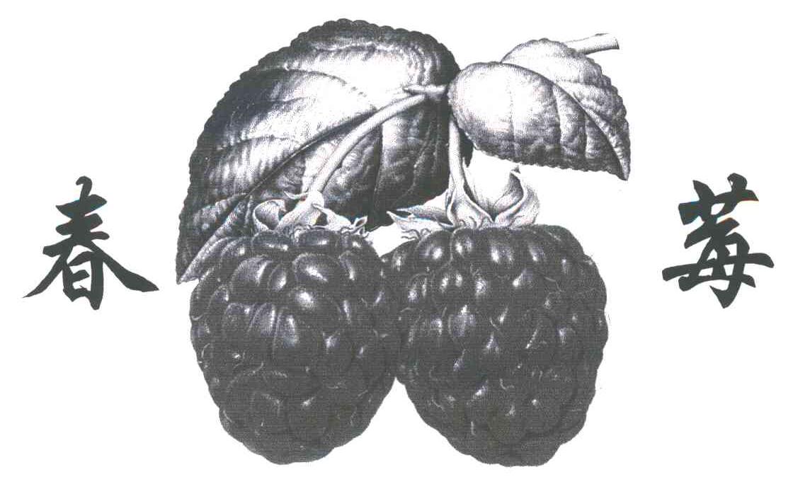 商标名称春莓商标注册号 3491667、商标申请人胡云龙的商标详情 - 标库网商标查询