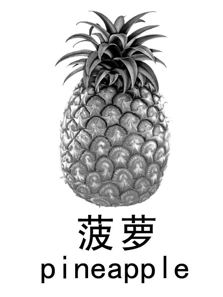 商标名称菠萝 PINEAPPLE商标注册号 10481769、商标申请人布达佩斯喜开路（北京）医疗器械有限公司的商标详情 - 标库网商标查询
