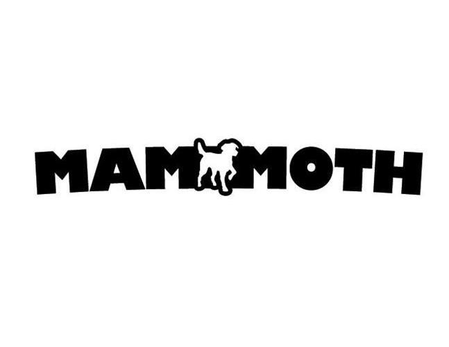 商标名称MAMMOTH商标注册号 10947457、商标申请人思碧全球公司的商标详情 - 标库网商标查询