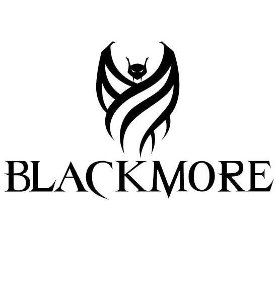 商标名称BLACKMORE商标注册号 12527395、商标申请人宁波利声音响器材有限公司的商标详情 - 标库网商标查询