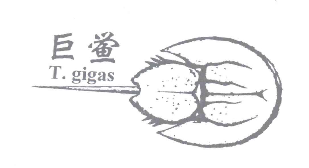 商标名称巨鲎 T.GIGAS商标注册号 12966358、商标申请人杨文钢的商标详情 - 标库网商标查询