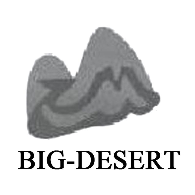 商标名称BIG-DESERT商标注册号 10397103、商标申请人晋江市顺兴大沙漠贸易有限公司的商标详情 - 标库网商标查询