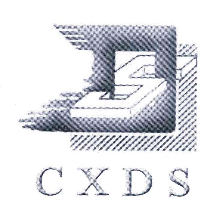 商标名称CXDS;DS商标注册号 6619016、商标申请人河北新东升实业集团有限公司的商标详情 - 标库网商标查询