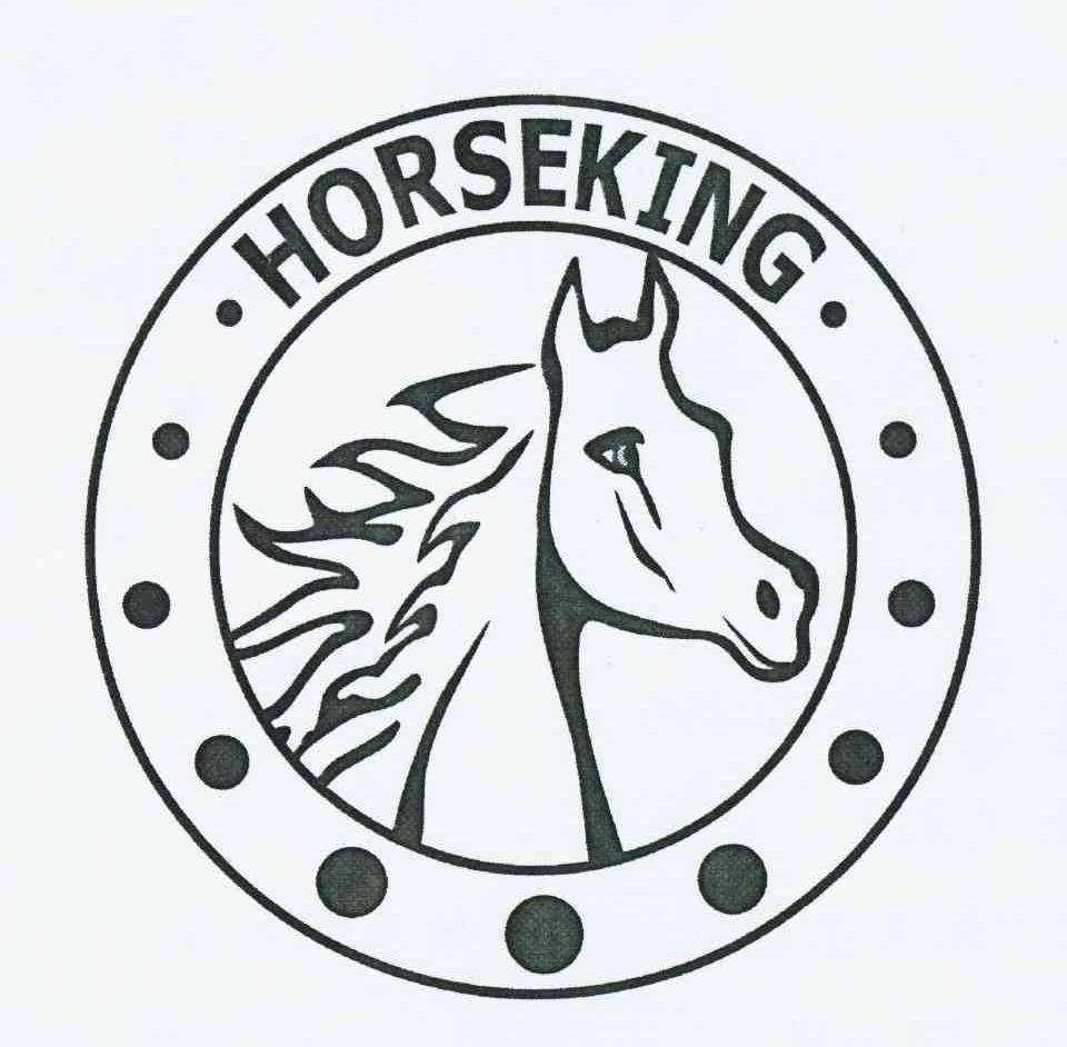商标名称HORSEKING商标注册号 10416165、商标申请人陈伟标的商标详情 - 标库网商标查询