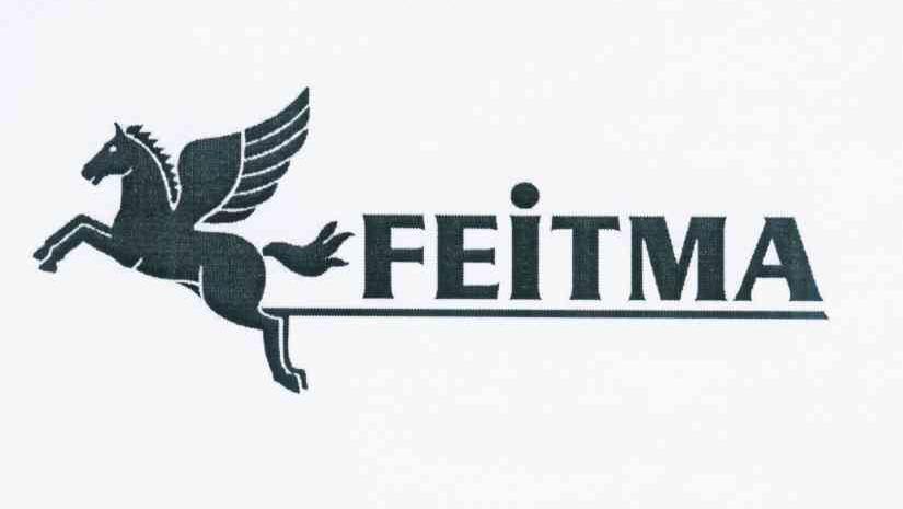 商标名称FEITMA商标注册号 11781529、商标申请人何健梅的商标详情 - 标库网商标查询