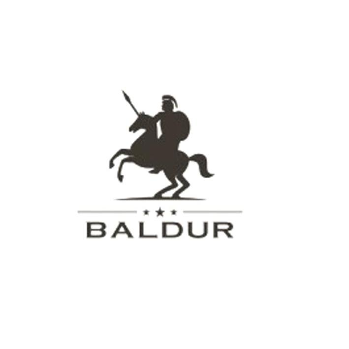 商标名称BALDUR商标注册号 11782694、商标申请人歌华商贸（香港）有限公司的商标详情 - 标库网商标查询
