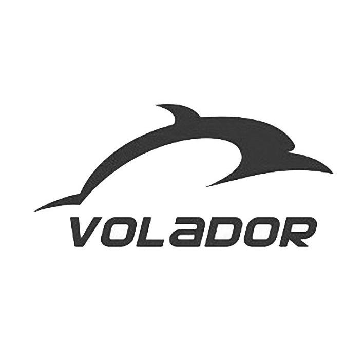 商标名称VOLADOR商标注册号 11592483、商标申请人上海野马船舶科技有限公司的商标详情 - 标库网商标查询