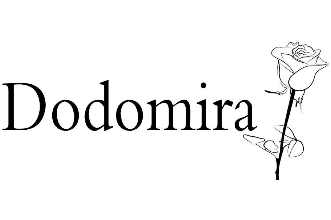商标名称DODOMIRA商标注册号 11224330、商标申请人上海蓝齐投资管理有限公司的商标详情 - 标库网商标查询