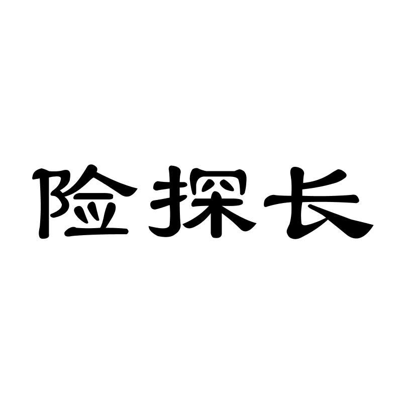 险探长