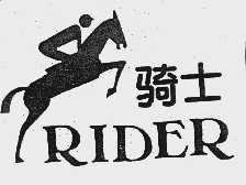 商标名称骑士  RIDER商标注册号 1009658、商标申请人大连环宇国际制衣有限公司的商标详情 - 标库网商标查询