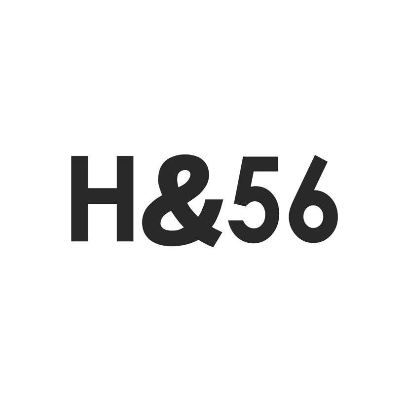 商标名称H&56商标注册号 12576195、商标申请人刘洪权的商标详情 - 标库网商标查询