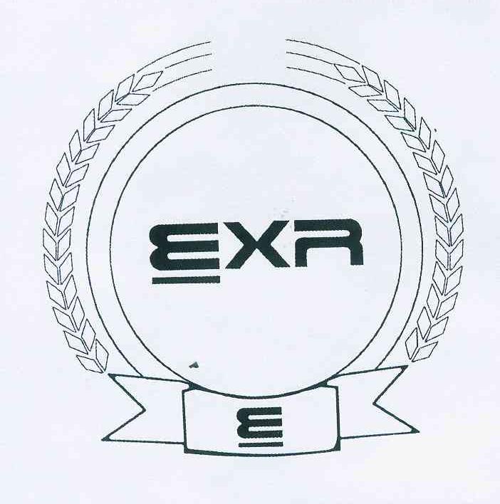 商标名称EXR商标注册号 11221152、商标申请人李丹的商标详情 - 标库网商标查询