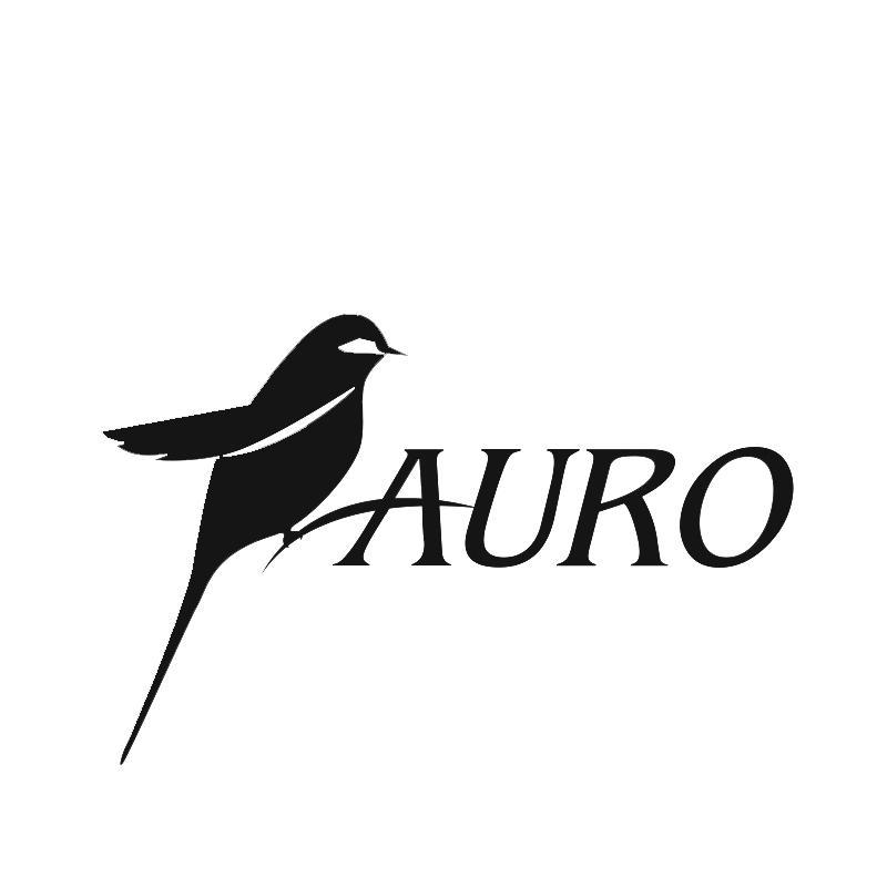 商标名称AURO商标注册号 13484703、商标申请人上海傲络科技有限公司的商标详情 - 标库网商标查询