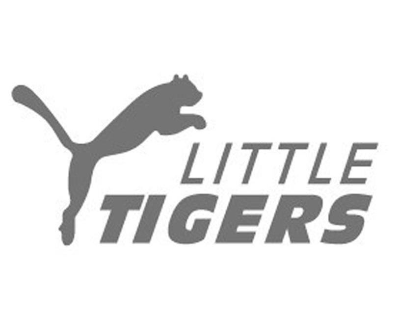 商标名称LITTLE TIGERS商标注册号 12403195、商标申请人慈溪市利刚电子有限公司的商标详情 - 标库网商标查询