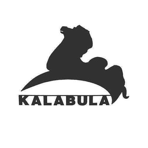 商标名称KALABULA商标注册号 11139916、商标申请人新源县喀拉布拉镇财政所的商标详情 - 标库网商标查询