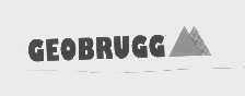 商标名称GEOBRUGG商标注册号 1037874、商标申请人布鲁克（苏州）工程有限公司的商标详情 - 标库网商标查询
