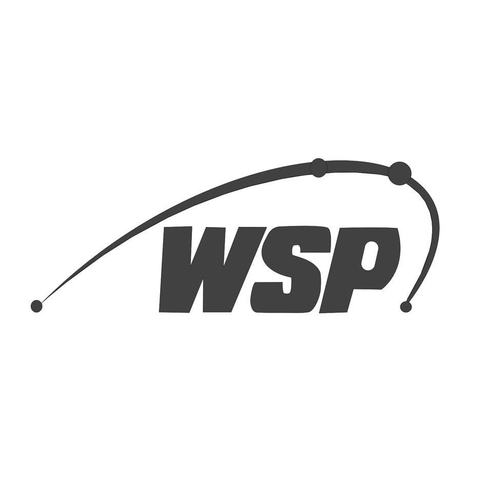 商标名称WSP商标注册号 10145010、商标申请人佛山市威斯派机电设备有限公司的商标详情 - 标库网商标查询